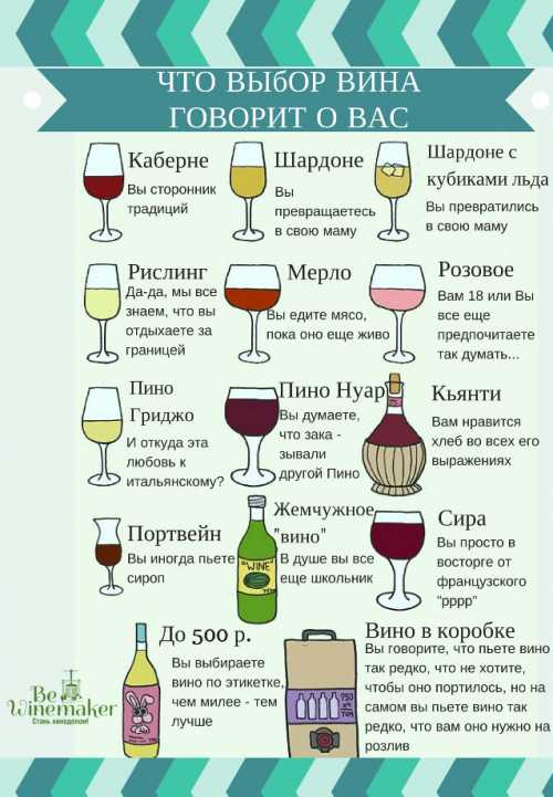 Как выбрать вино Классификация вин