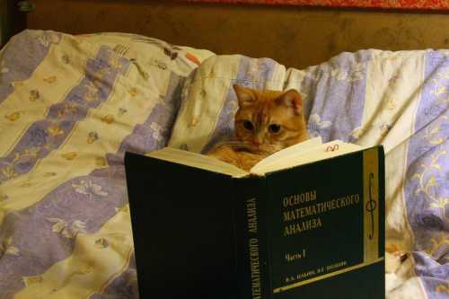 Девушке стало не по себе от мысли, что