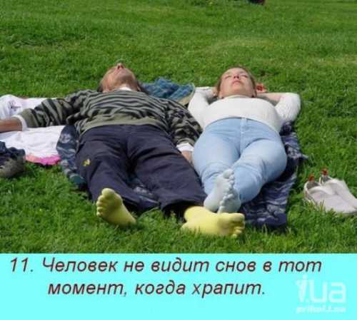 Интересно о снах Самые смешные анекдоты о снах