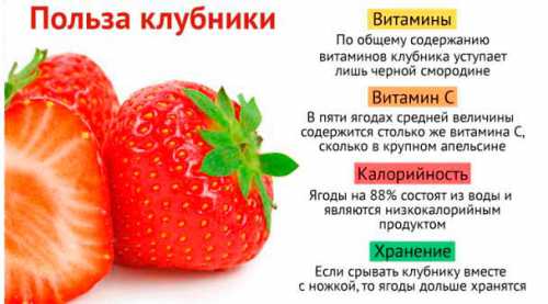 Чем полезна клубника