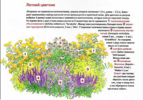 Условно их можно разделить на следующие категории