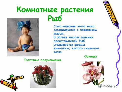 Планета