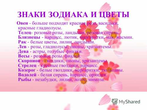 Ахименес