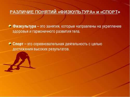 Спорт