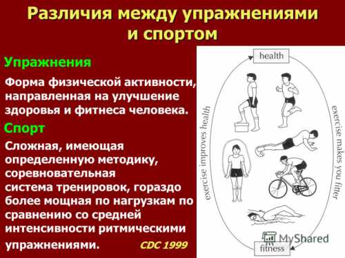 Рекреация спортивной направленности включает в себя разнообразные игры на пляже, во время пикников