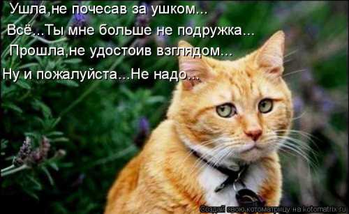Отношения