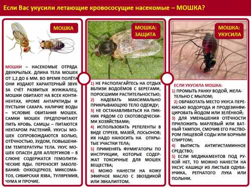 При чувствительности на алкоголь развести его водой в соотношении