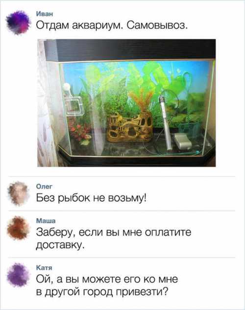 Будумо