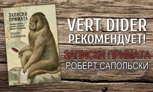 Заметки обезьяны