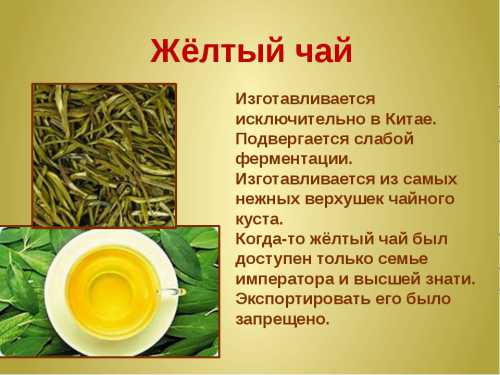 Белый чай Свойства и рекомендации