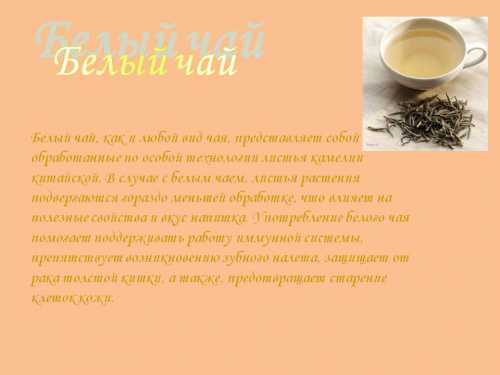 А вот на этой картинке вы можете увидеть, как внешне различаются черный, белый и зеленый чай