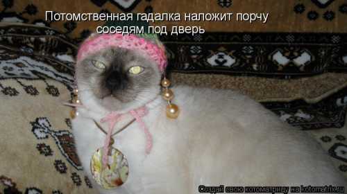 Люди теснились и смешные предсказания гадалки толкались, спеша внести свою удержаться кроме того предсказания смешные гадалки тот самый