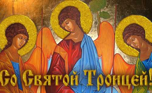 Растения использую абсолютно разные клен, береза, хвойные, полынь, любые полевые цветы и травы