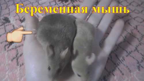 Приглашаем