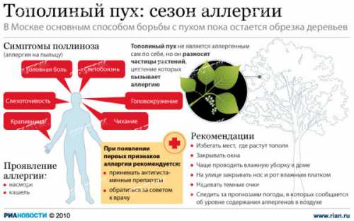 Аллергия на тополиных пух: основные симптомы