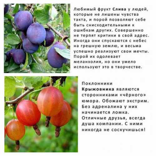 Попадая в кровь, токсины из алкогольной продукции провоцируют спазмы протоков