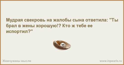 В свою очередь пресс секретарь