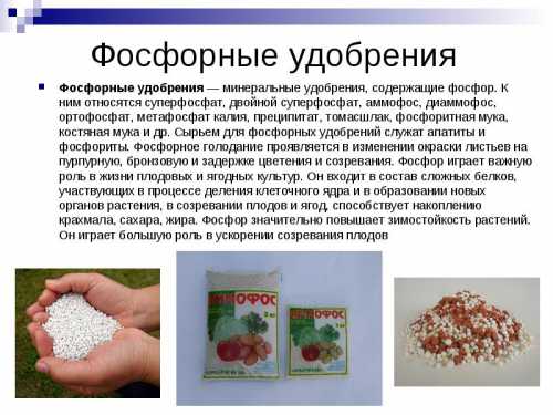 Фосфорные удобрения