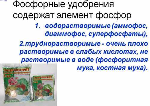 Осенними дождями и весенними водами входящий в их состав хлор вымывается в глубокие слои почвы и не вредит растениям