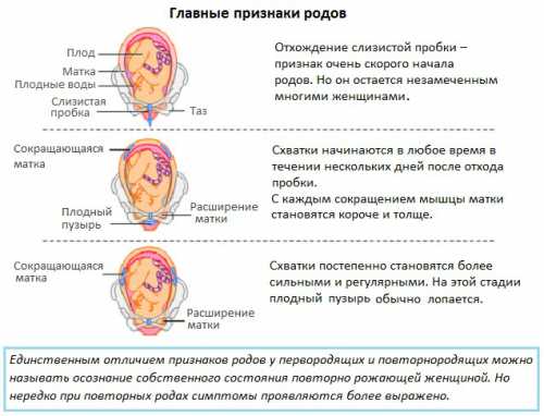 Также беременная женщина может пронаблюдать и за другими признаками начала появления родов за дня до схваток у нее отошла слизистая пробка появились небольшие подтекания околоплодных вод или их бурное излияние