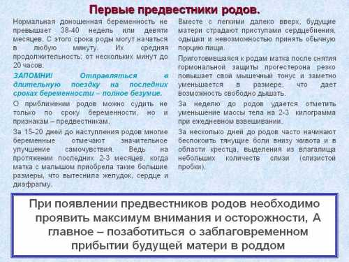 Как определить начало родов